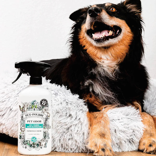 Pet Odor Eliminators