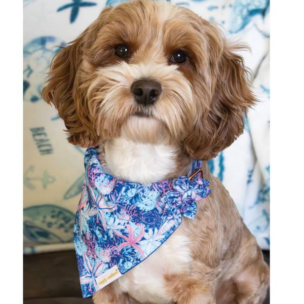 Simply Southern® Pet Bandana: Reef