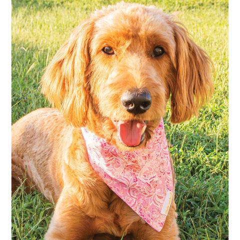 Simply Southern® Pet Bandana: Pink Paisley