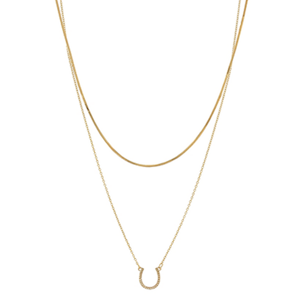 Double Layered Horseshoe Necklace