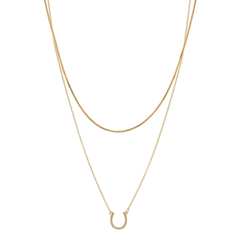 Double Layered Horseshoe Necklace