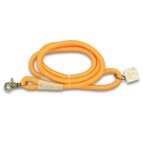 Simply Southern® Pet Leash: Orange