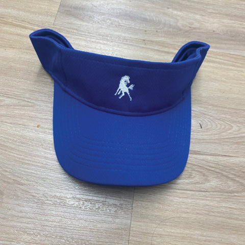 Colt Visor - Blue